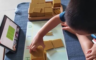 Learning Mathematics in Montessori