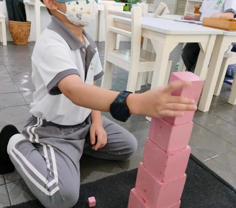 Building the Pink Tower Blindfolded: A Montessori Challenge in Sensory Perception and Patience