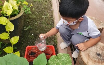 Growing Minds: The Benefits of Classroom Plant Care for Children