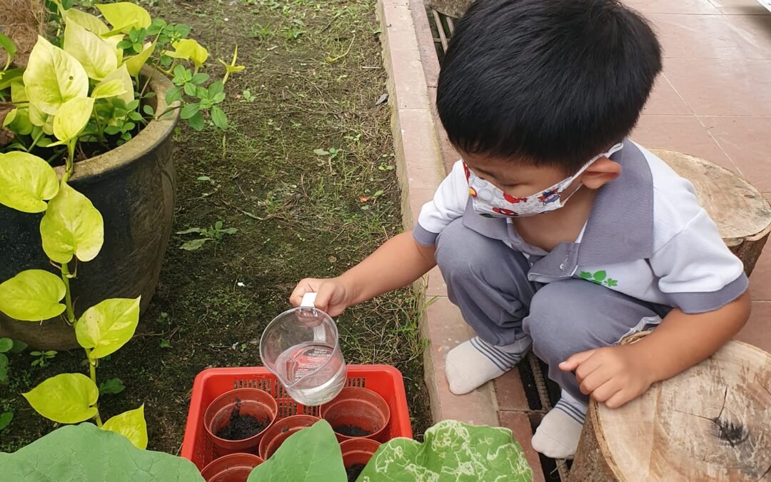 Growing Minds: The Benefits of Classroom Plant Care for Children