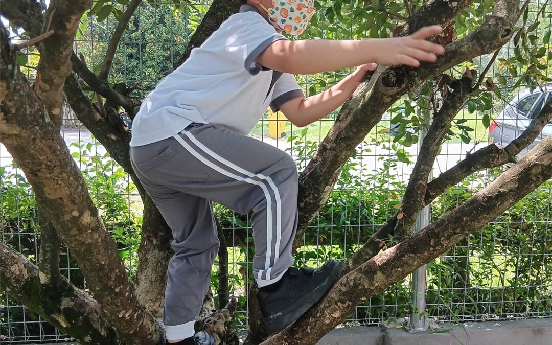 The Educational Significance of Tree Climbing for Children