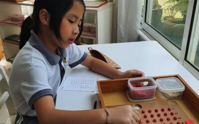 Building Math Foundations: Hands-On Learning in the Montessori 3-6 Classroom