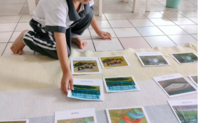 The Importance of Classified Cards in Montessori Language Development