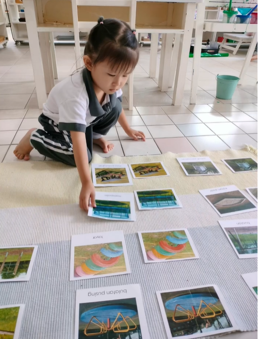 The Importance of Classified Cards in Montessori Language Development