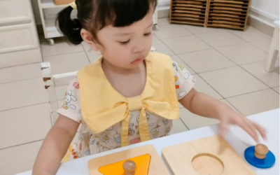 Unlock Your Toddler’s Potential with Montessori!