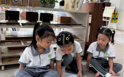 Reading Aloud vs. Understanding: Why Comprehension Matters Most