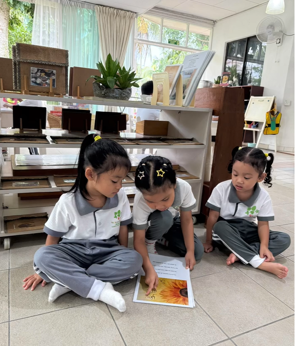 Reading Aloud vs. Understanding: Why Comprehension Matters Most
