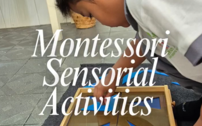 Beyond Just “Playing”: The Magic of the Sensorial Area