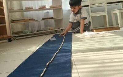 The Magic of the Montessori Long Chain
