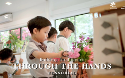 Tiny Hands, Big Discoveries!